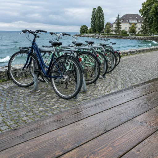 Fahrradverleih am Bodensee: Preise, Routen und Hoteltipps für Ihren Aktivurlaub